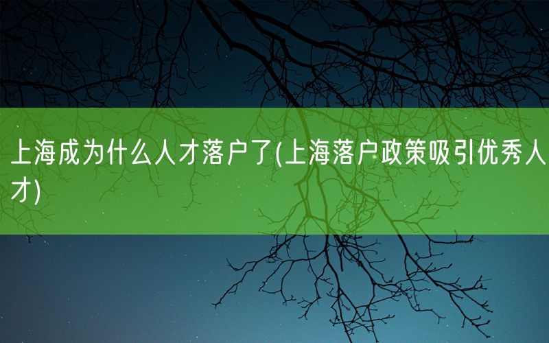 上海成为什么人才落户了(上海落户政策吸引优秀人才)