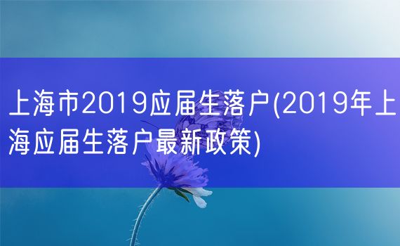 上海市2019应届生落户(2019年上海应届生落户最新政策)