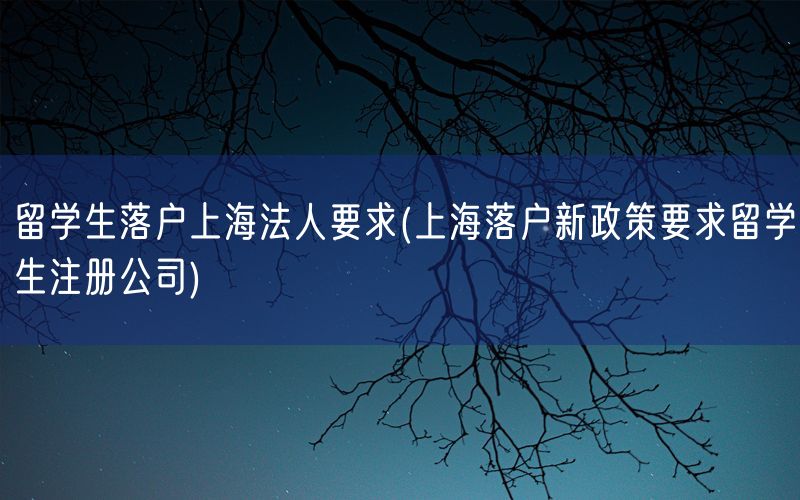 留学生落户上海法人要求(上海落户新政策要求留学生注册公司)