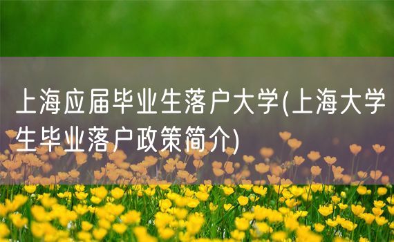 上海应届毕业生落户大学(上海大学生毕业落户政策简介)