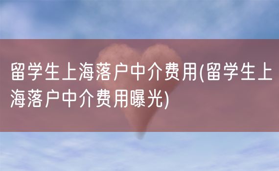 留学生上海落户中介费用(留学生上海落户中介费用曝光)