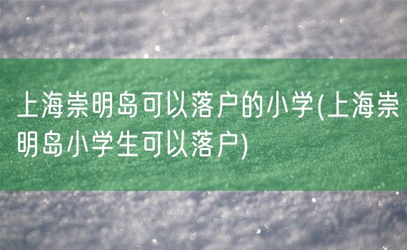 上海崇明岛可以落户的小学(上海崇明岛小学生可以落户)