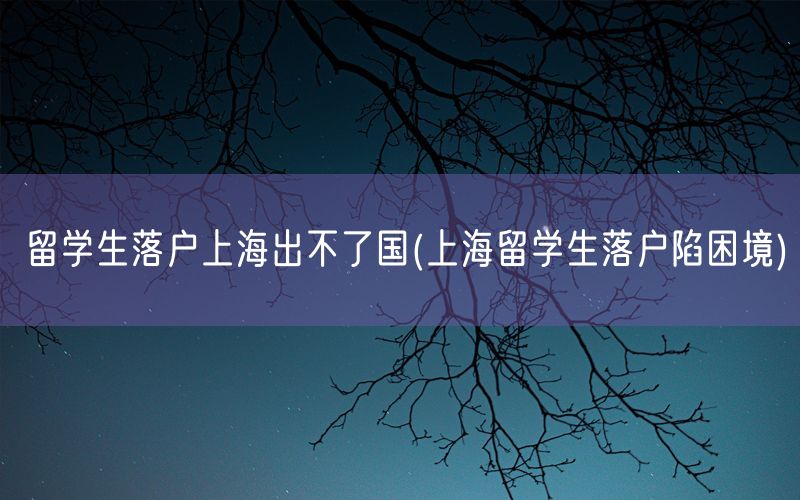 留学生落户上海出不了国(上海留学生落户陷困境)