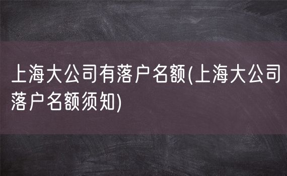 上海大公司有落户名额(上海大公司落户名额须知)