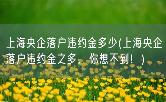 上海央企落户违约金多少(上海央企落户违约金之多，你想不到！)