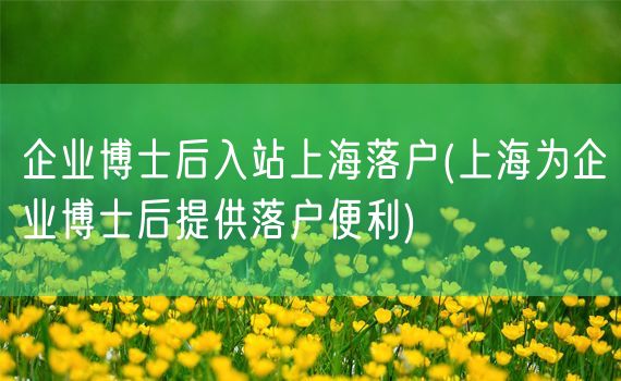 企业博士后入站上海落户(上海为企业博士后提供落户便利)