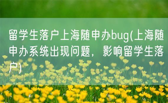 留学生落户上海随申办bug(上海随申办系统出现问题，影响留学生落户)