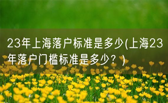 23年上海落户标准是多少(上海23年落户门槛标准是多少？)