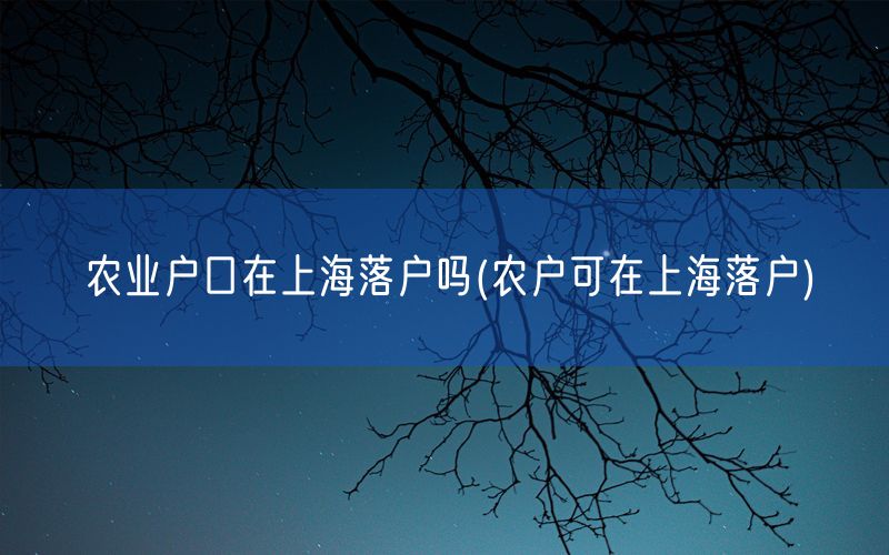 农业户口在上海落户吗(农户可在上海落户)