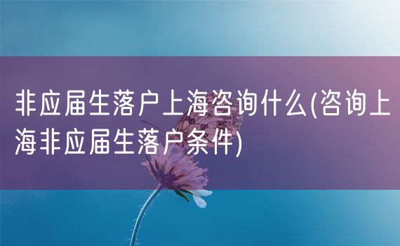 非应届生落户上海咨询什么(咨询上海非应届生落户条件)