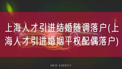 上海人才引进结婚随调落户(上海人才引进婚姻平权配偶落户)