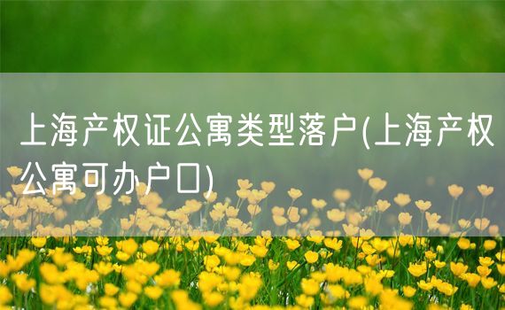 上海产权证公寓类型落户(上海产权公寓可办户口)