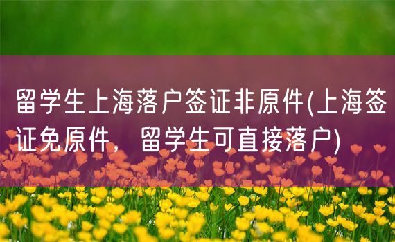 留学生上海落户签证非原件(上海签证免原件，留学生可直接落户)