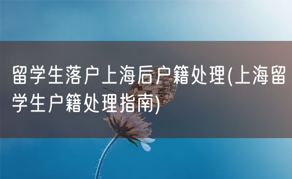 留学生落户上海后户籍处理(上海留学生户籍处理指南)