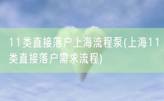 11类直接落户上海流程泵(上海11类直接落户需求流程)