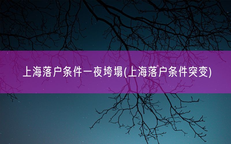 上海落户条件一夜垮塌(上海落户条件突变)