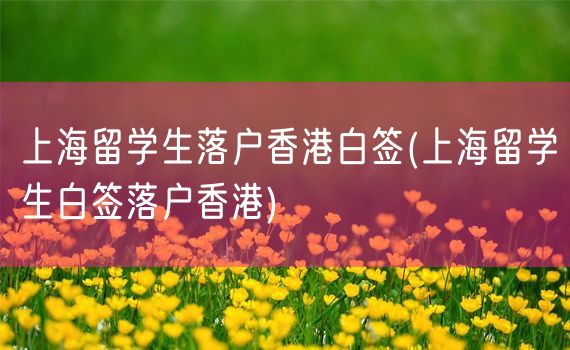 上海留学生落户香港白签(上海留学生白签落户香港)