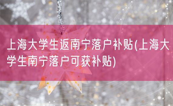 上海大学生返南宁落户补贴(上海大学生南宁落户可获补贴)