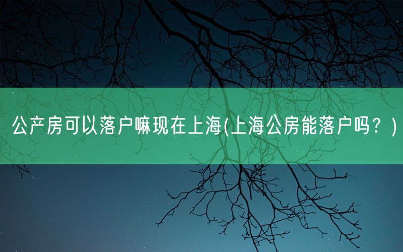 公产房可以落户嘛现在上海(上海公房能落户吗？)