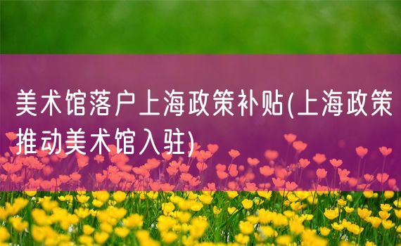 美术馆落户上海政策补贴(上海政策推动美术馆入驻)