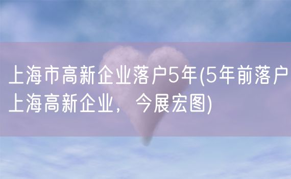 上海市高新企业落户5年(5年前落户上海高新企业，今展宏图)