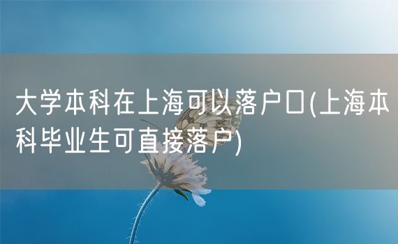 大学本科在上海可以落户口(上海本科毕业生可直接落户)