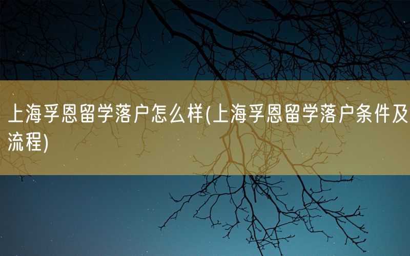 上海孚恩留学落户怎么样(上海孚恩留学落户条件及流程)