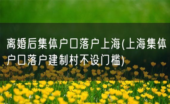 离婚后集体户口落户上海(上海集体户口落户建制村不设门槛)