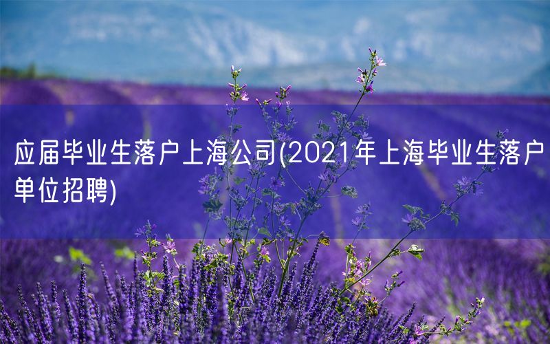 应届毕业生落户上海公司(2021年上海毕业生落户单位招聘)