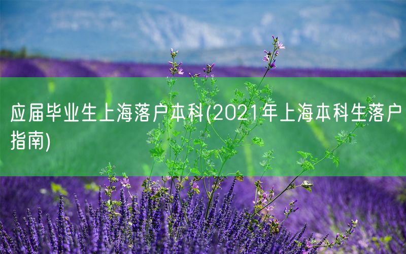 应届毕业生上海落户本科(2021年上海本科生落户指南)