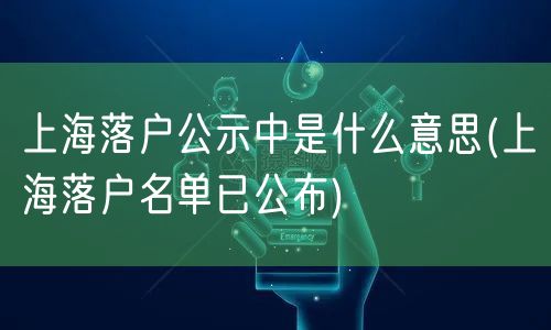 上海落户公示中是什么意思(上海落户名单已公布)