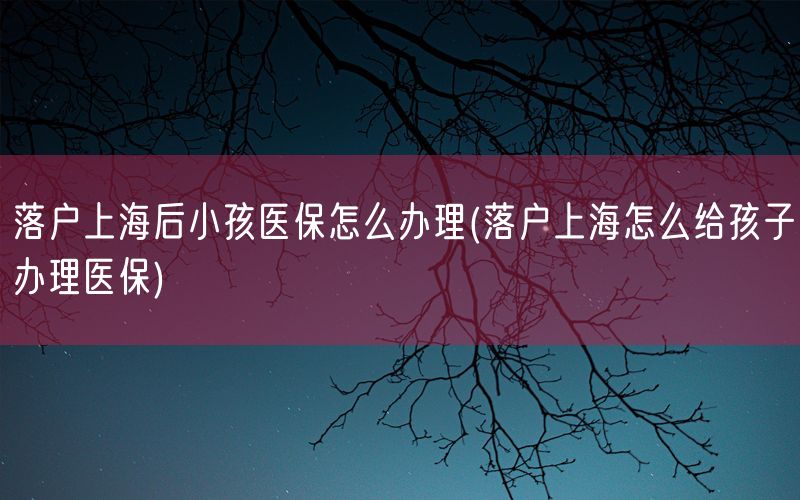 落户上海后小孩医保怎么办理(落户上海怎么给孩子办理医保)