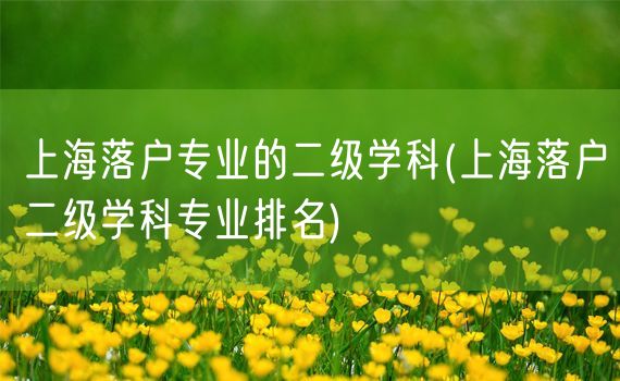 上海落户专业的二级学科(上海落户二级学科专业排名)