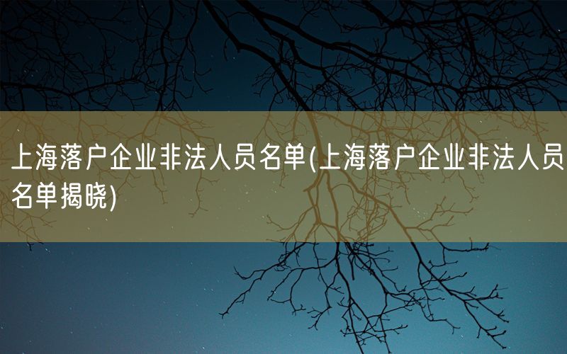 上海落户企业非法人员名单(上海落户企业非法人员名单揭晓)