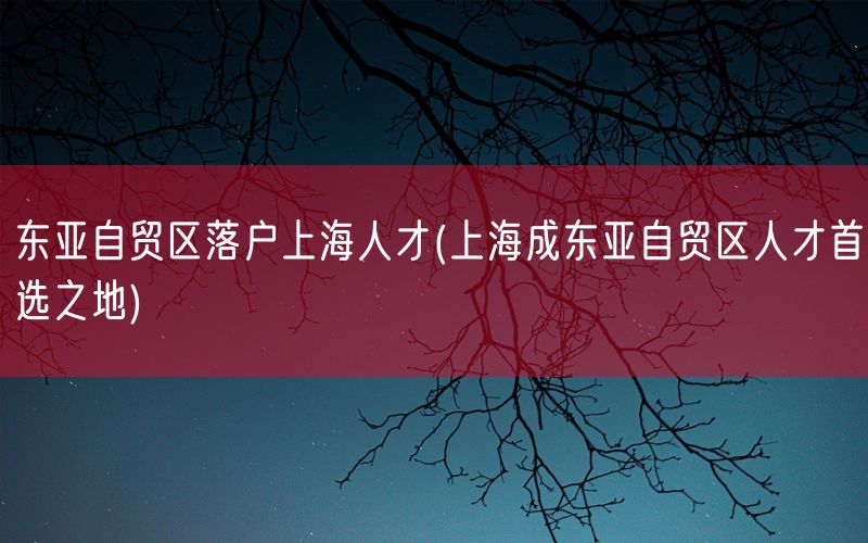 东亚自贸区落户上海人才(上海成东亚自贸区人才首选之地)