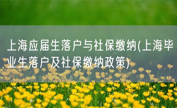 上海应届生落户与社保缴纳(上海毕业生落户及社保缴纳政策)