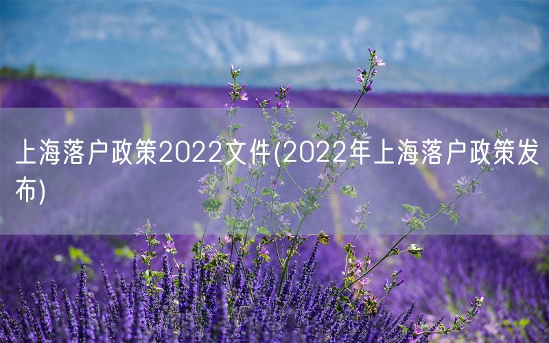 上海落户政策2022文件(2022年上海落户政策发布)