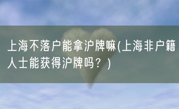 上海不落户能拿沪牌嘛(上海非户籍人士能获得沪牌吗？)