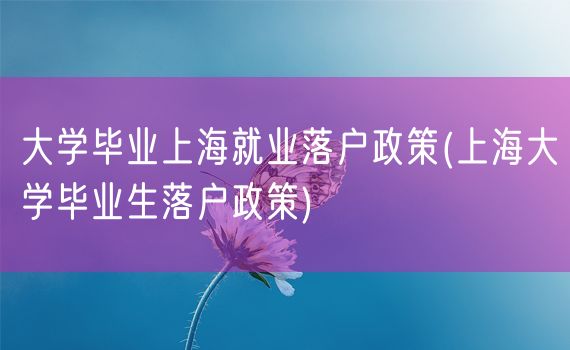 大学毕业上海就业落户政策(上海大学毕业生落户政策)