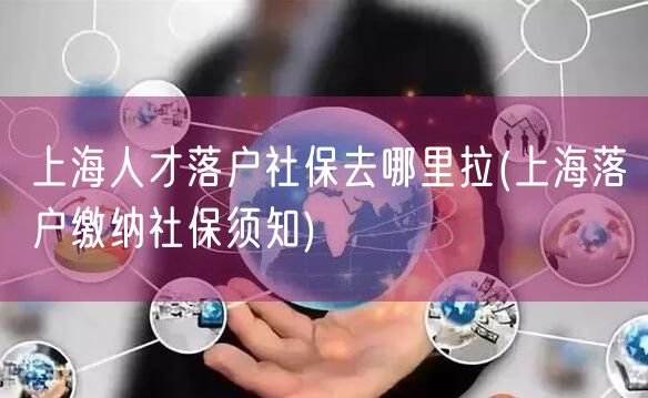 上海人才落户社保去哪里拉(上海落户缴纳社保须知)