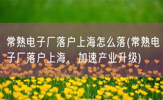 常熟电子厂落户上海怎么落(常熟电子厂落户上海，加速产业升级)