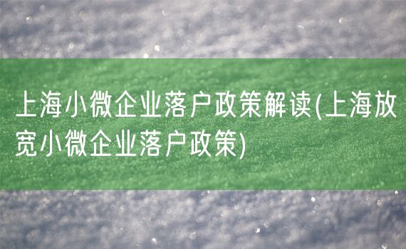 上海小微企业落户政策解读(上海放宽小微企业落户政策)