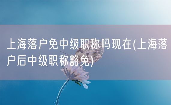 上海落户免中级职称吗现在(上海落户后中级职称豁免)