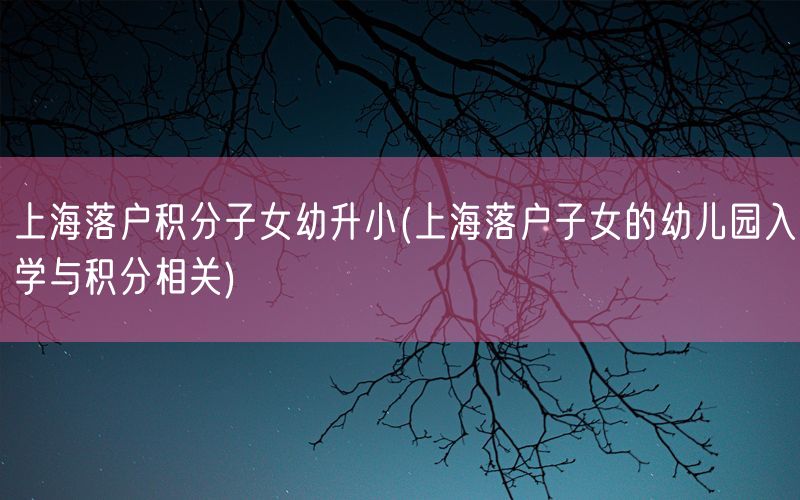 上海落户积分子女幼升小(上海落户子女的幼儿园入学与积分相关)