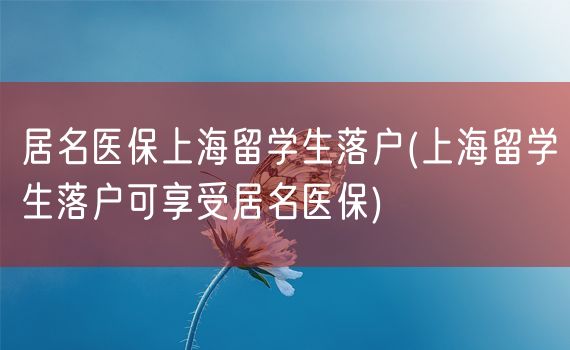 居名医保上海留学生落户(上海留学生落户可享受居名医保)