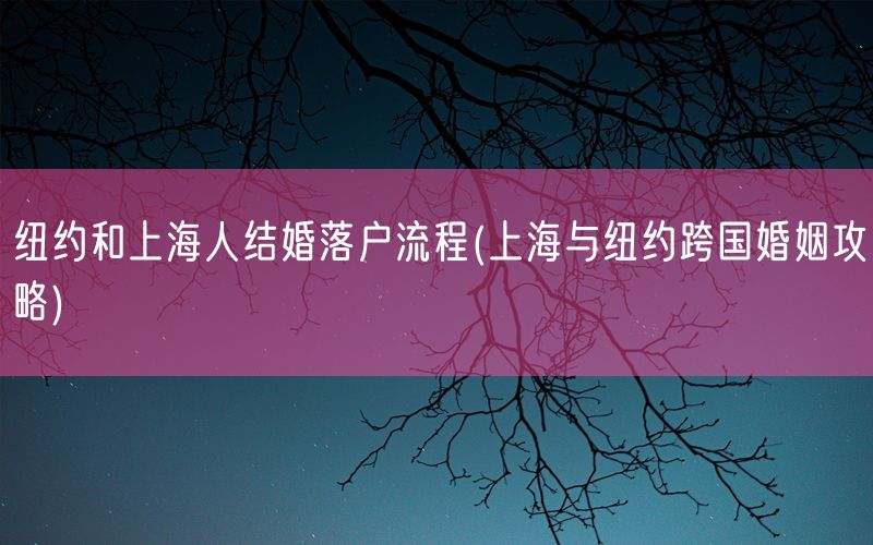 纽约和上海人结婚落户流程(上海与纽约跨国婚姻攻略)