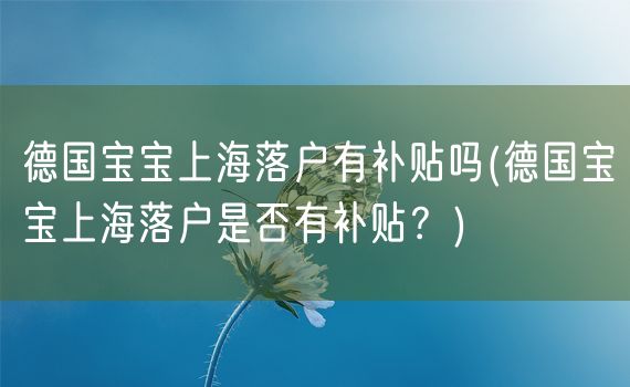 德国宝宝上海落户有补贴吗(德国宝宝上海落户是否有补贴？)