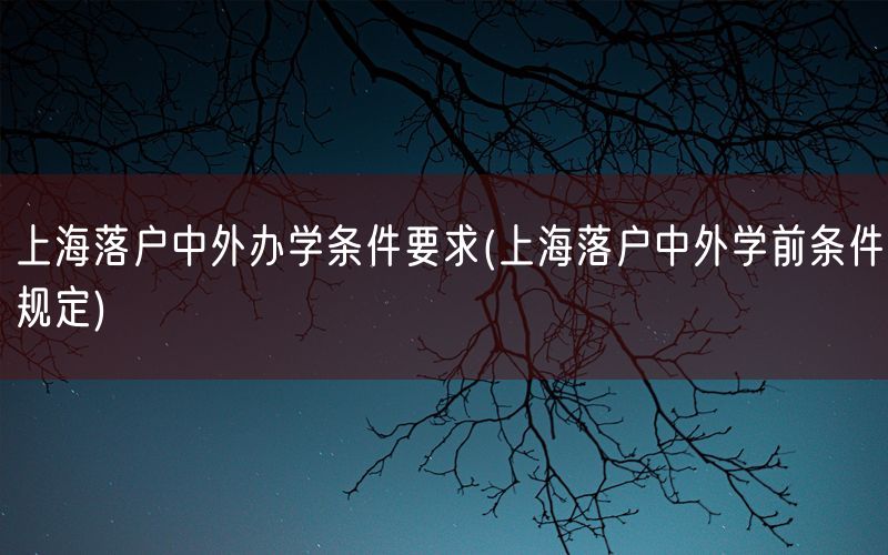 上海落户中外办学条件要求(上海落户中外学前条件规定)