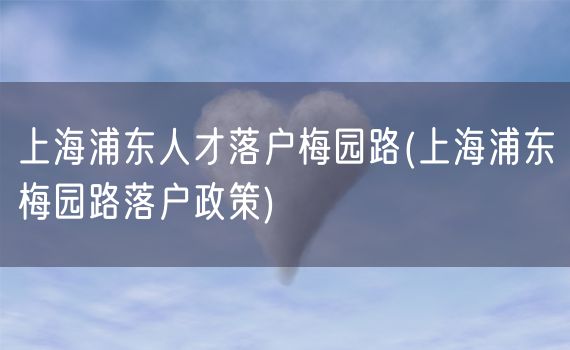 上海浦东人才落户梅园路(上海浦东梅园路落户政策)