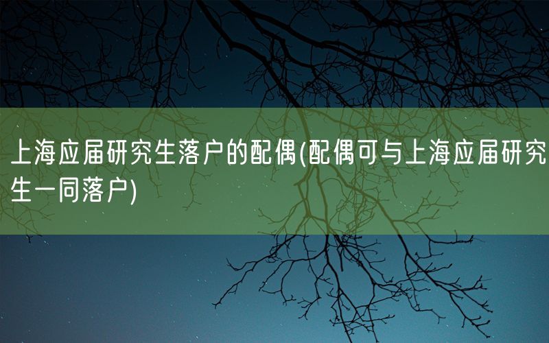 上海应届研究生落户的配偶(配偶可与上海应届研究生一同落户)